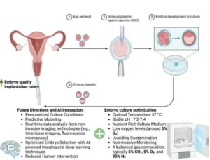 Your Personal Fit: Making the Final Decision About Assisted Reproductive Technology Near Me